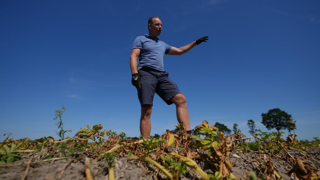 Severe Drought Affects European Crops Amid Farmers' Adaptation Efforts