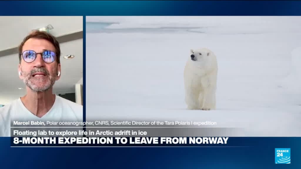 Scientists to embark on eight-month Arctic expedition to study climate change effects
