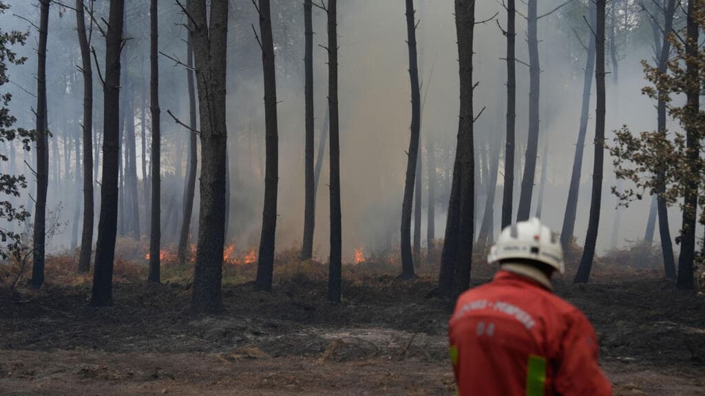 George Clooney and Family Evacuate Their Home in France Due to Wildfires
