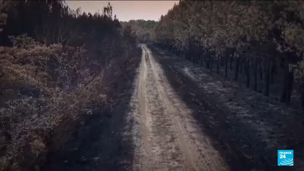 Drone Footage Shows Devastation of Forests Following Wildfires in France