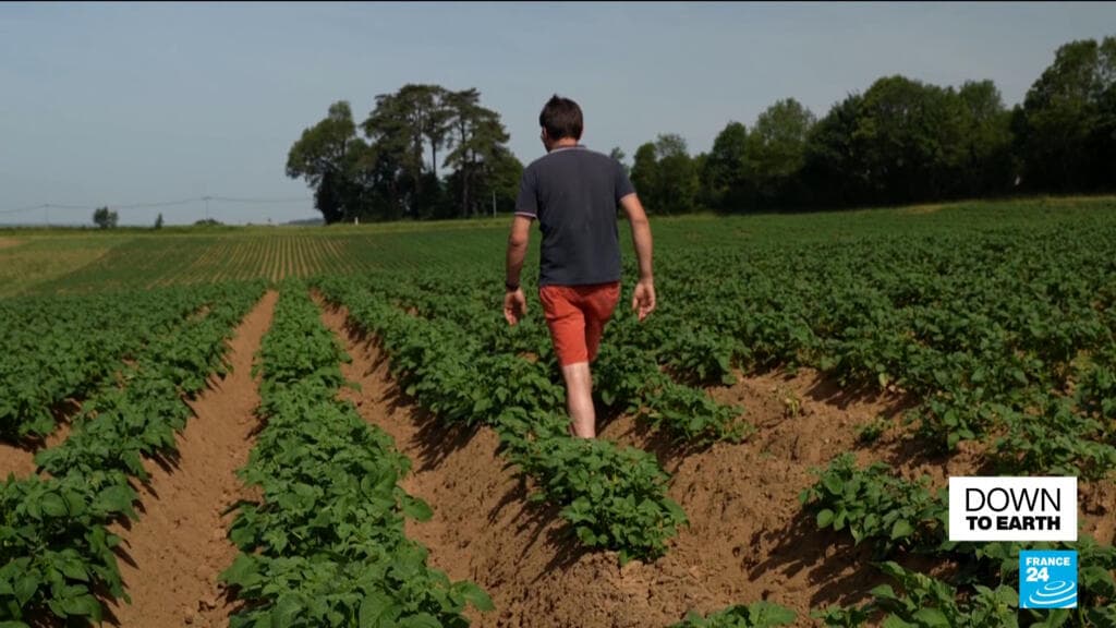 French Farmers Aim to Demonstrate Organic Farming's Potential to Sustain Populations
