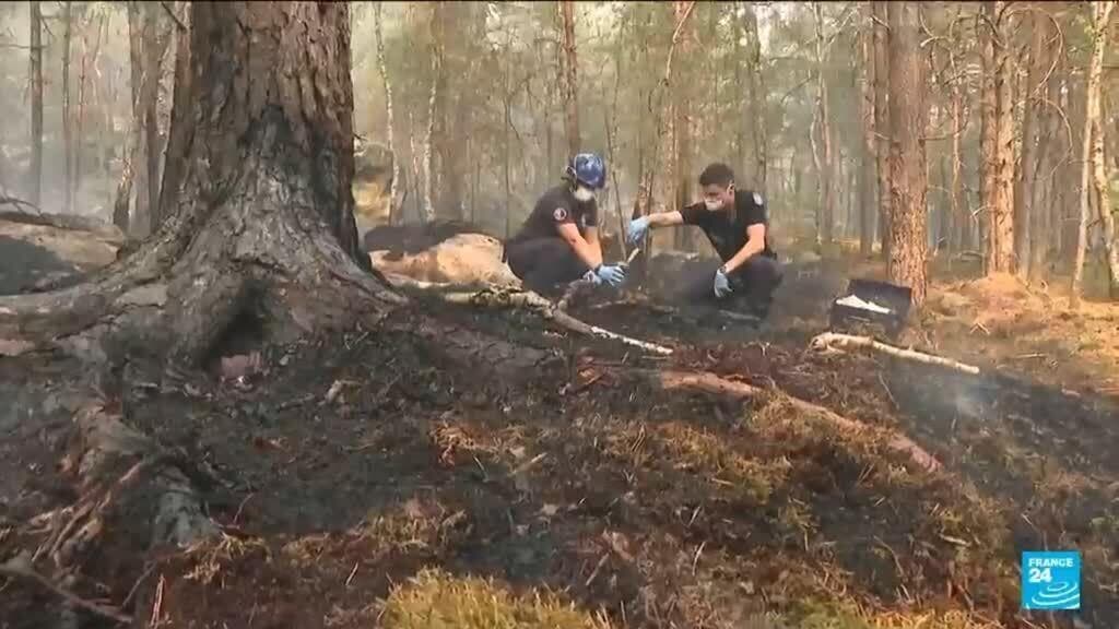 Volunteer Firefighter Confesses to Starting Fire in Fontainebleau Forest