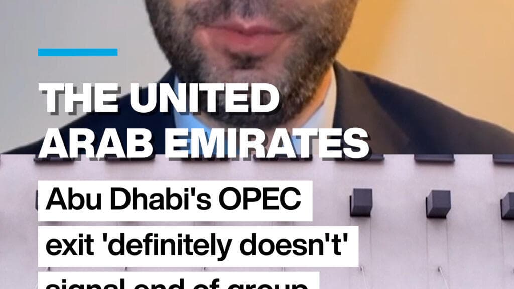 The UAE: Abu Dhabi's OPEC exit 'definitely doesn't' signal end of group