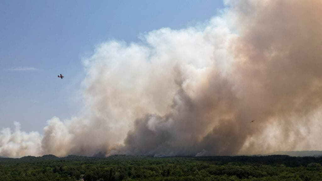 Investigation Launched into Possible Arson of Fontainebleau Forest Fire