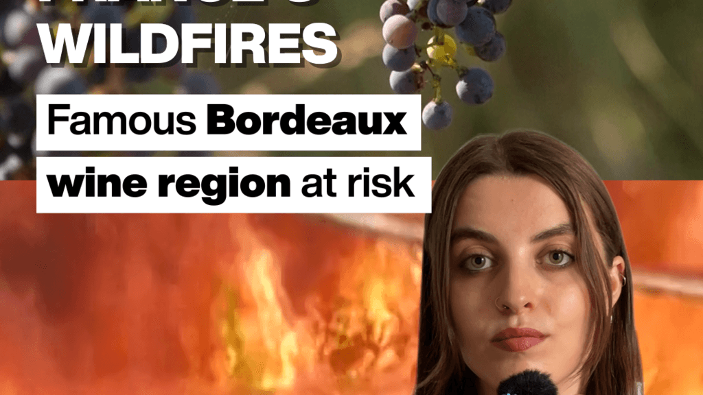 Wildfires Threaten Bordeaux Wine Region Amid Climate Challenges