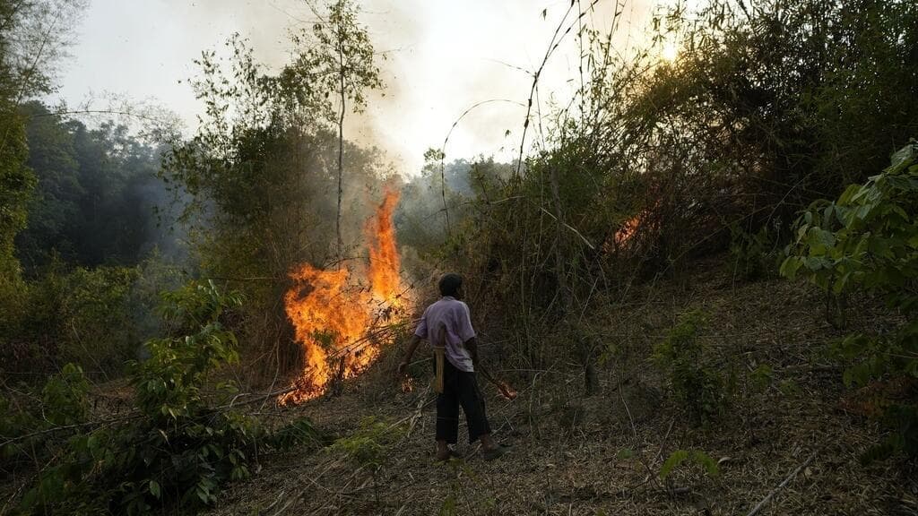 French Biologist Warns of Biodiversity Loss as a Major Global Challenge