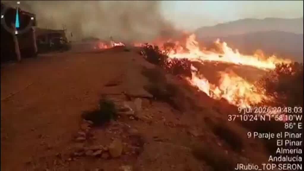 Wildfires Spread Across Spain Amid Severe Heatwave, Claiming Lives