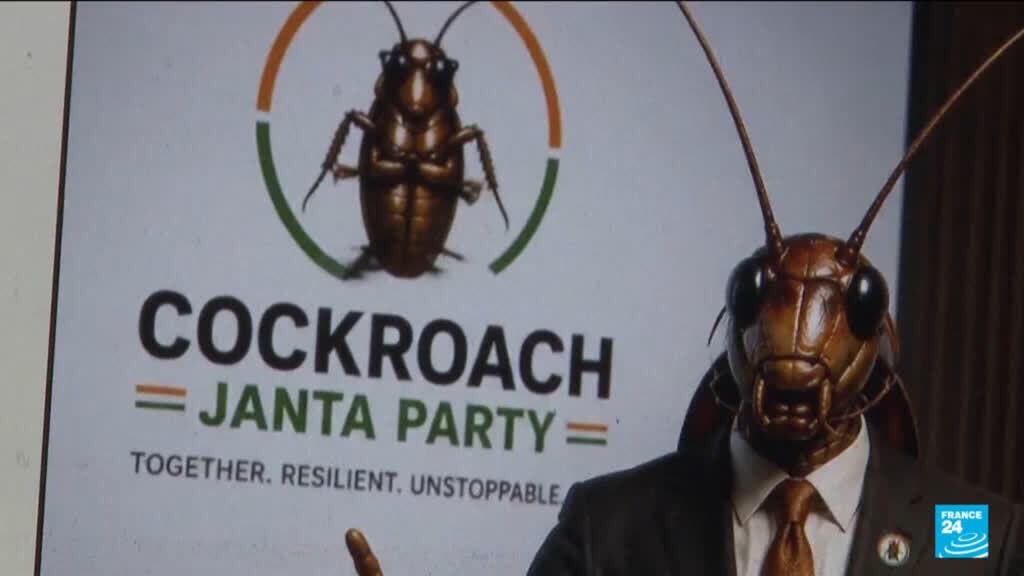 Leader of India's 'Cockroach Party' Travels to New Delhi for Protest