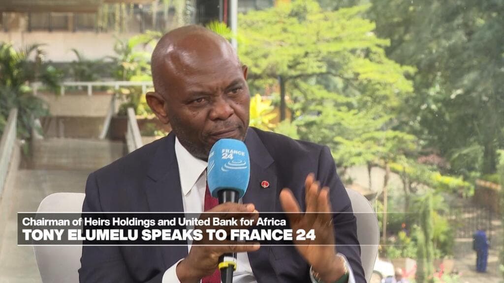 United Bank for Africa Chairman Urges Africa to Address Its Own Challenges