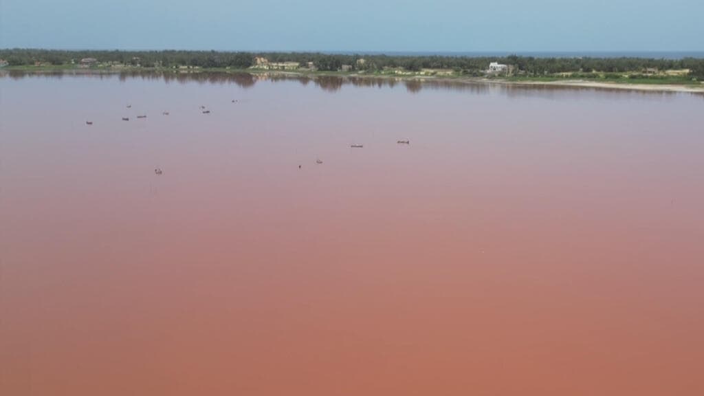 Salt Trade Rebounds as Pink Lake Gradually Recovers from Flood Damage
