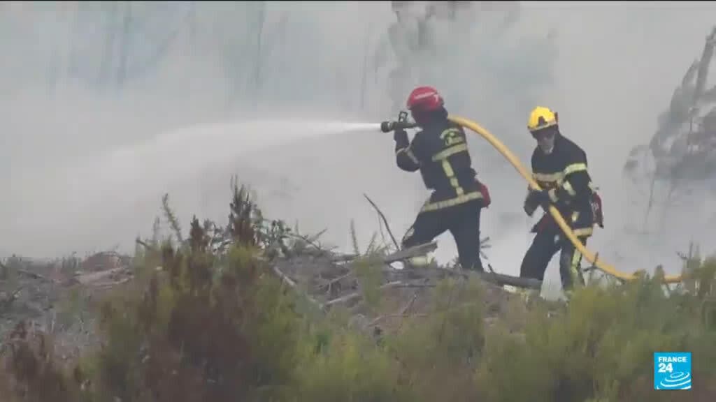 France Faces Significant Costs for Wildfire Recovery and Reforestation