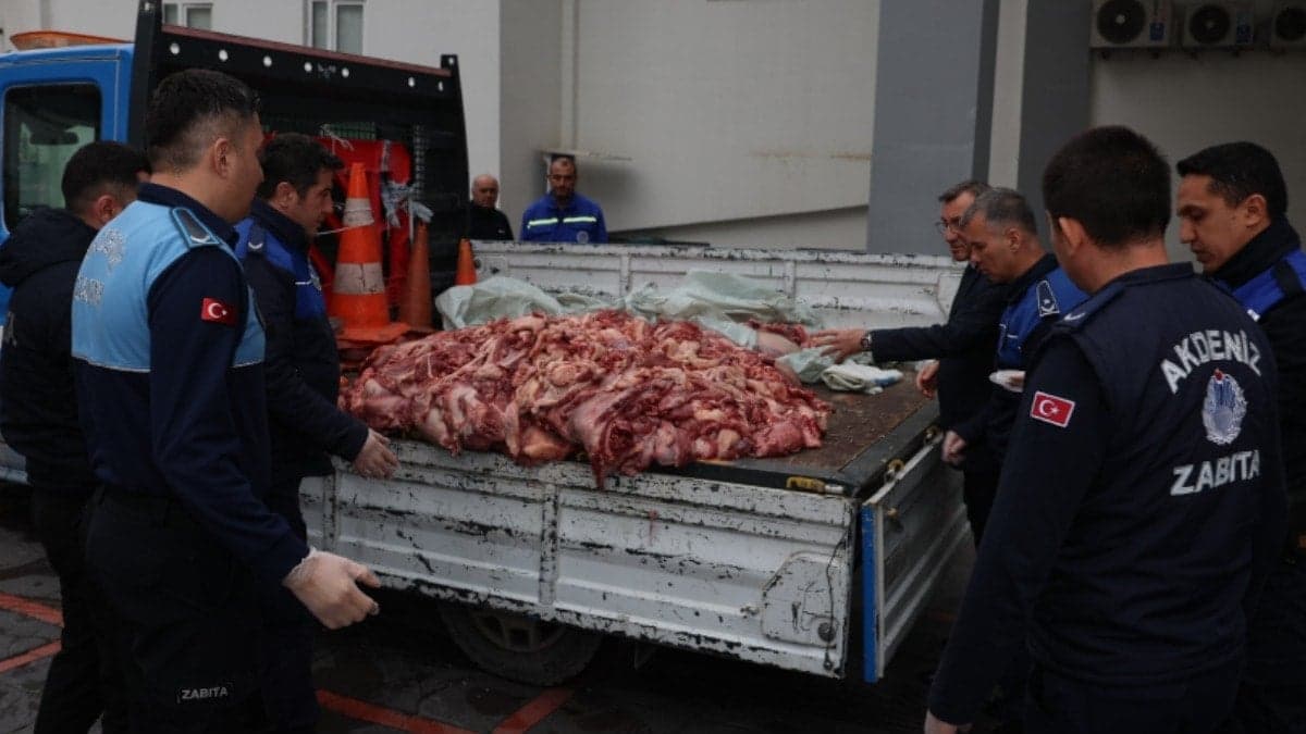 Kamyonetin kasasından yüzlerce kilo bozuk et çıktı!