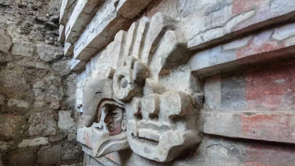 Yağma ihbarı son on yılın en büyük keşfine yol açtı