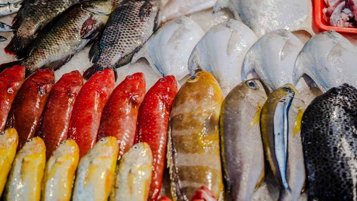 Kışın evlerden eksik edilmemesi gereken 3 balık var, özellikle bir tanesi kış yorgunluğuna birebir...