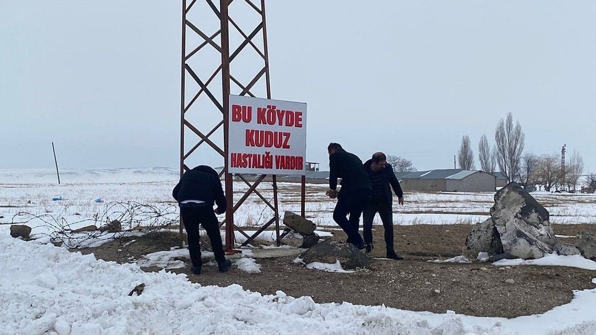 Kuduz vakası sonrası karantina! 8 bölgede alarm verildi