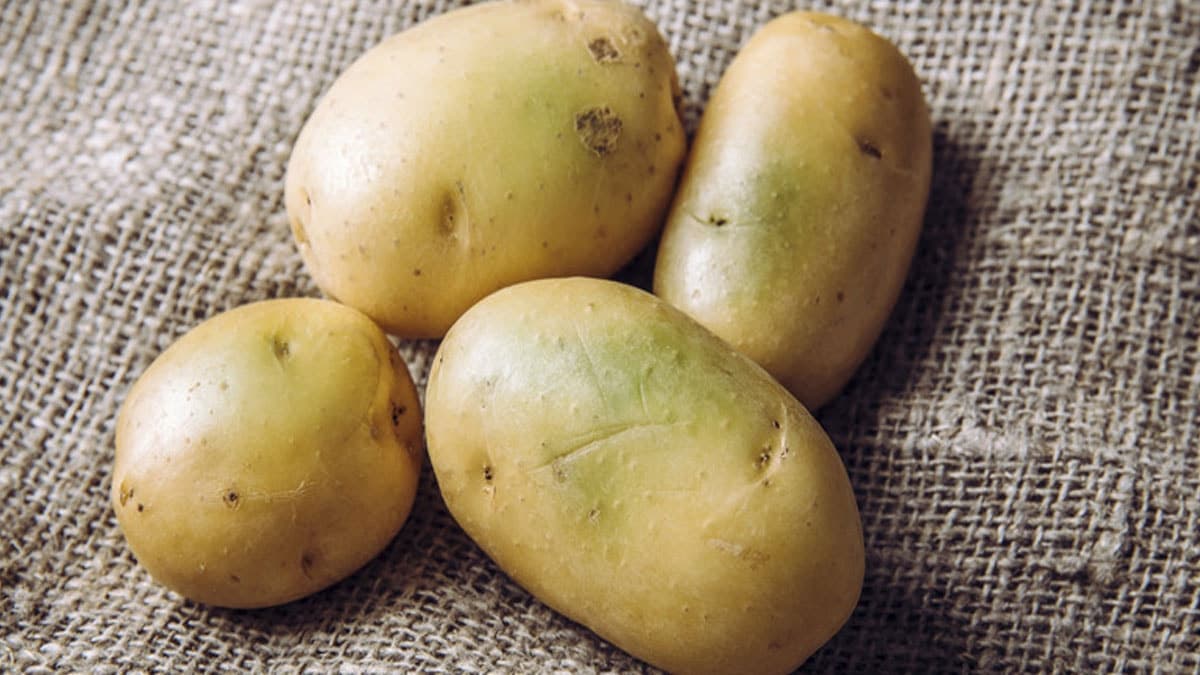 Tek malzemeyle aylarca taze kalacak: Patates masrafını bitiren tüyonun sırrı çözüldü