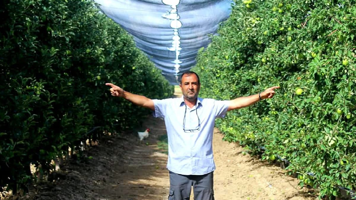 Erciyes rüzgarı ürünlerin değerini artırdı, 4 ülkeye ihraç ediliyor