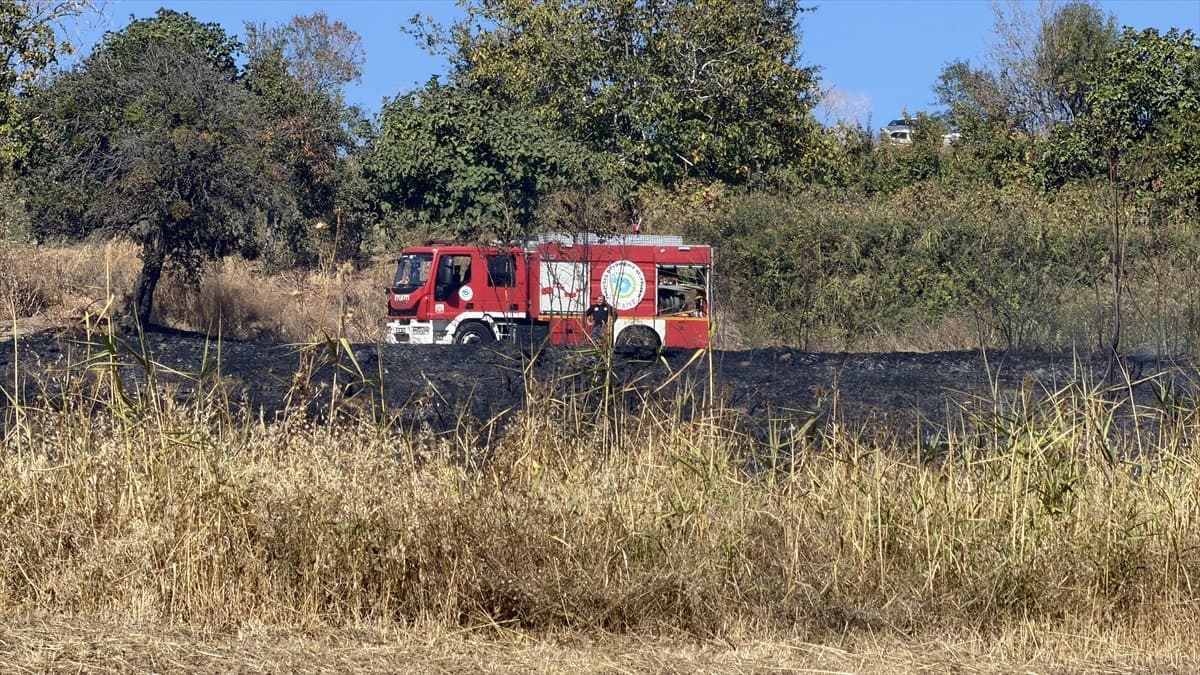 Tekirdağ'da yangın söndürüldü, kaplumbağa kurtarıldı