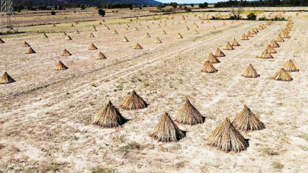 Deli Memet hasadı tek başına bir günde tamamlandı