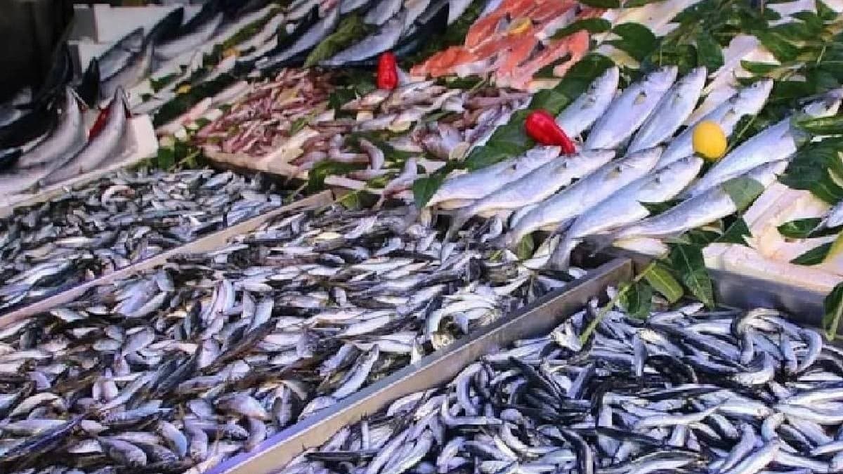 Herkesin küçümsediği bu balık hepsinden daha sağlıklıymış