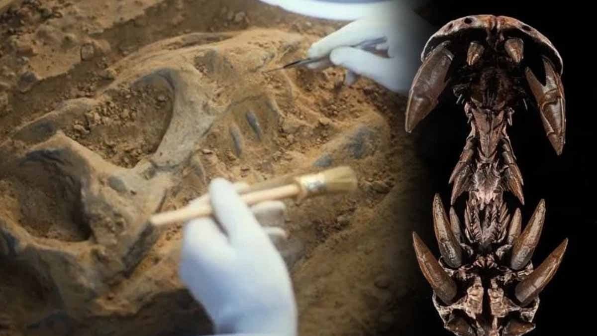 Bilim insanları 95 milyon yıllık 'pala boynuzlu' dev buldu, ateş püskürtmüyordu ama...