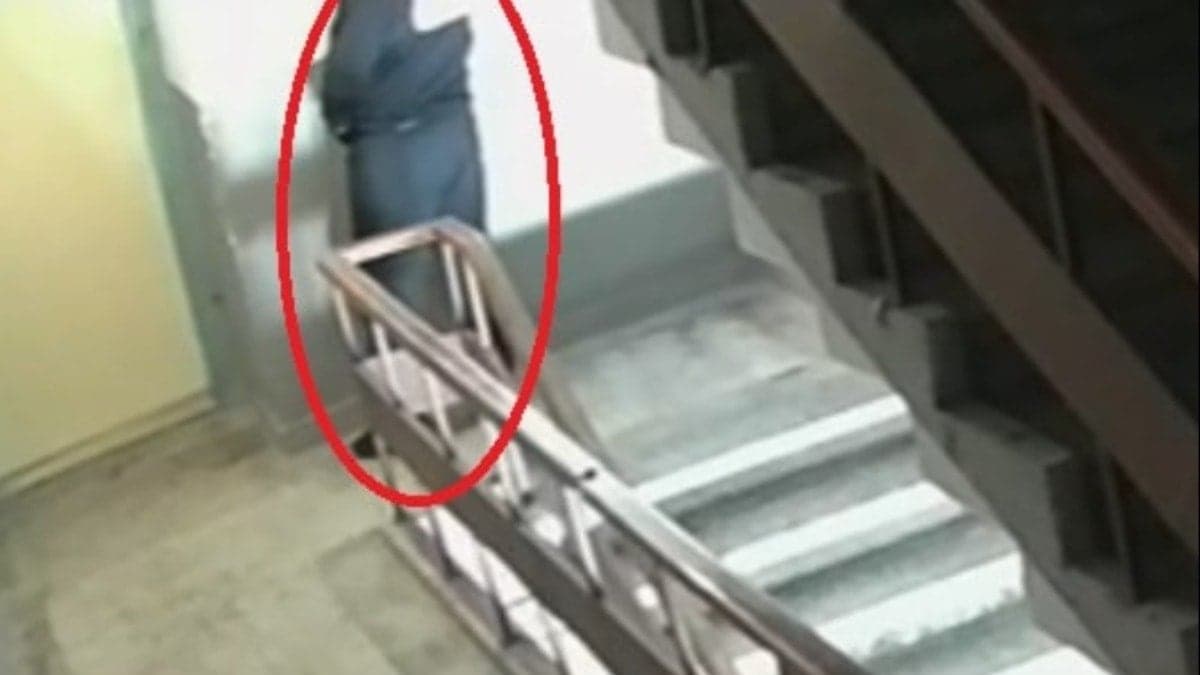 Kurye, sipariş getirdiği binaya idrarını yaptı! Pes dedirten görüntü kamerada