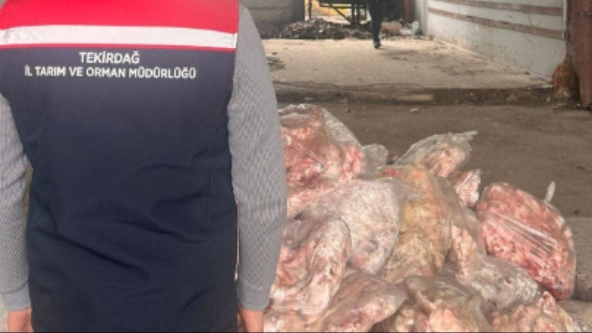Ne etiket var ne ambalaj! Kilolarca et yakalandı imha edildi