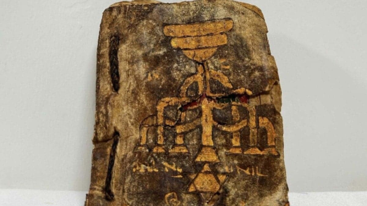 Muğla'da tarihi Tevrat ele geçirildi