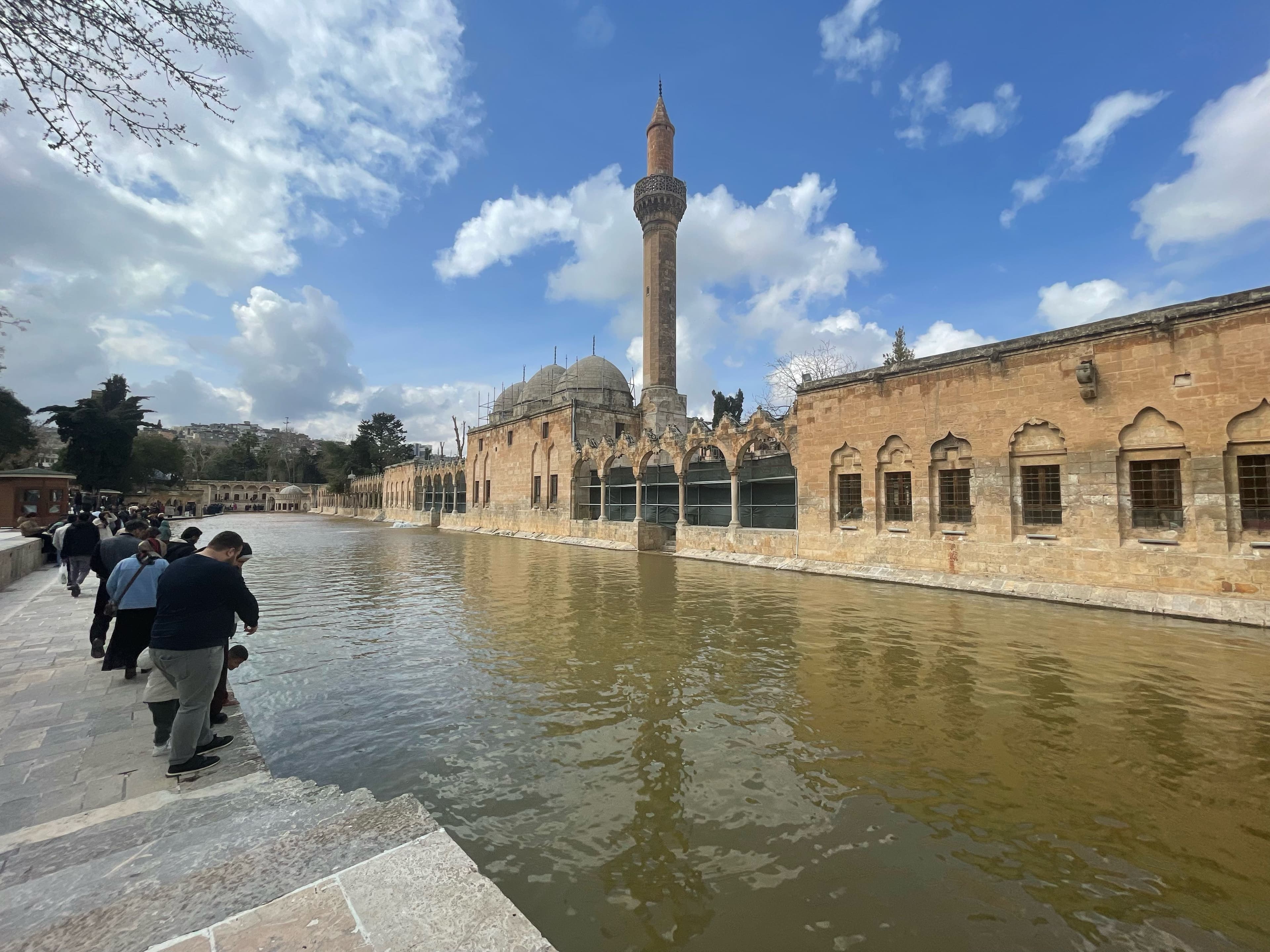 Şanlıurfa'da sağanak! Balıklıgöl'ün suyu çamura döndü