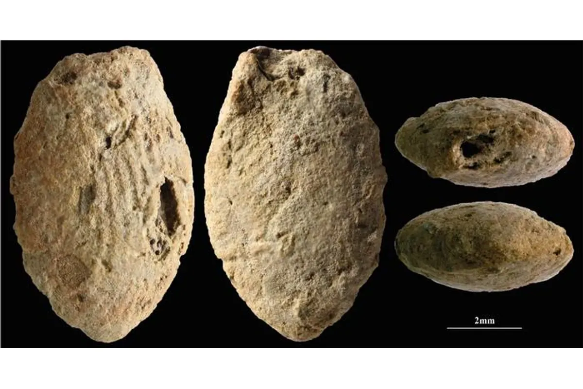 15 bin yıllık gelenek ortaya çıktı: Çocuklar da yapmış