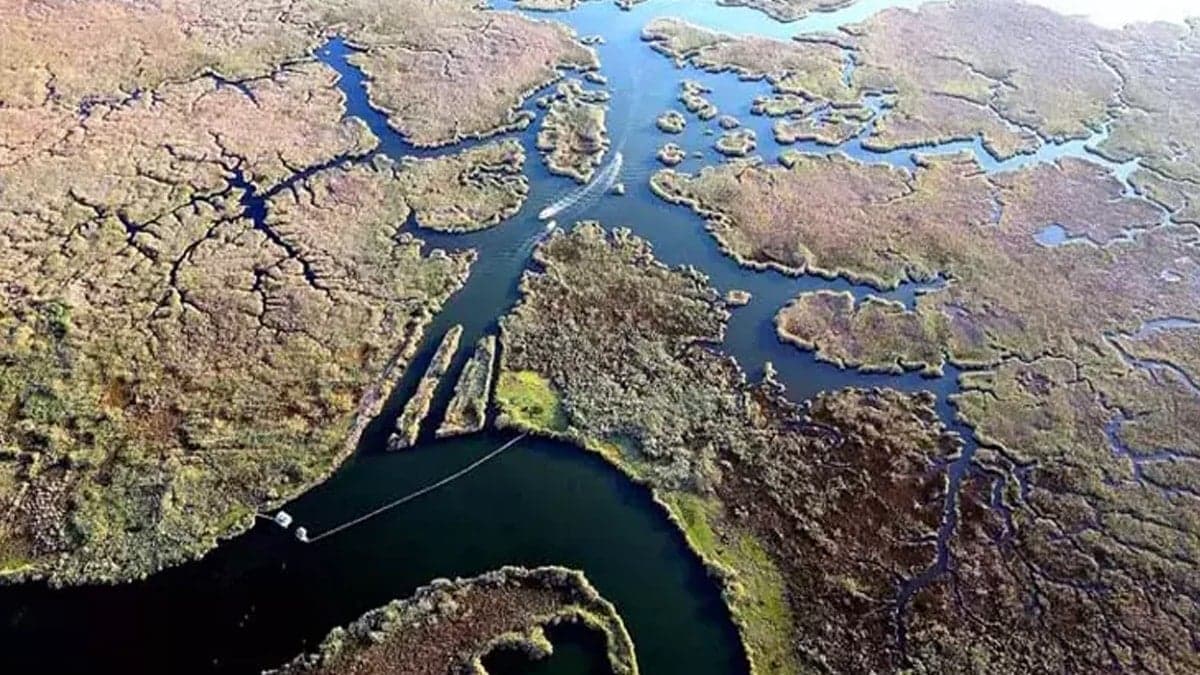 Dünyada sadece birkaç noktada var: Biri Türkiye'de, herkes akın ediyor