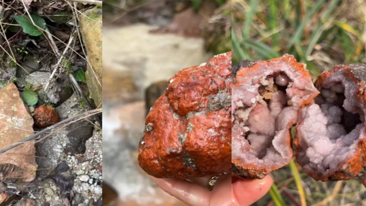 Herkes üzerine basıp geçiyor ama içinden hazine çıkıyor