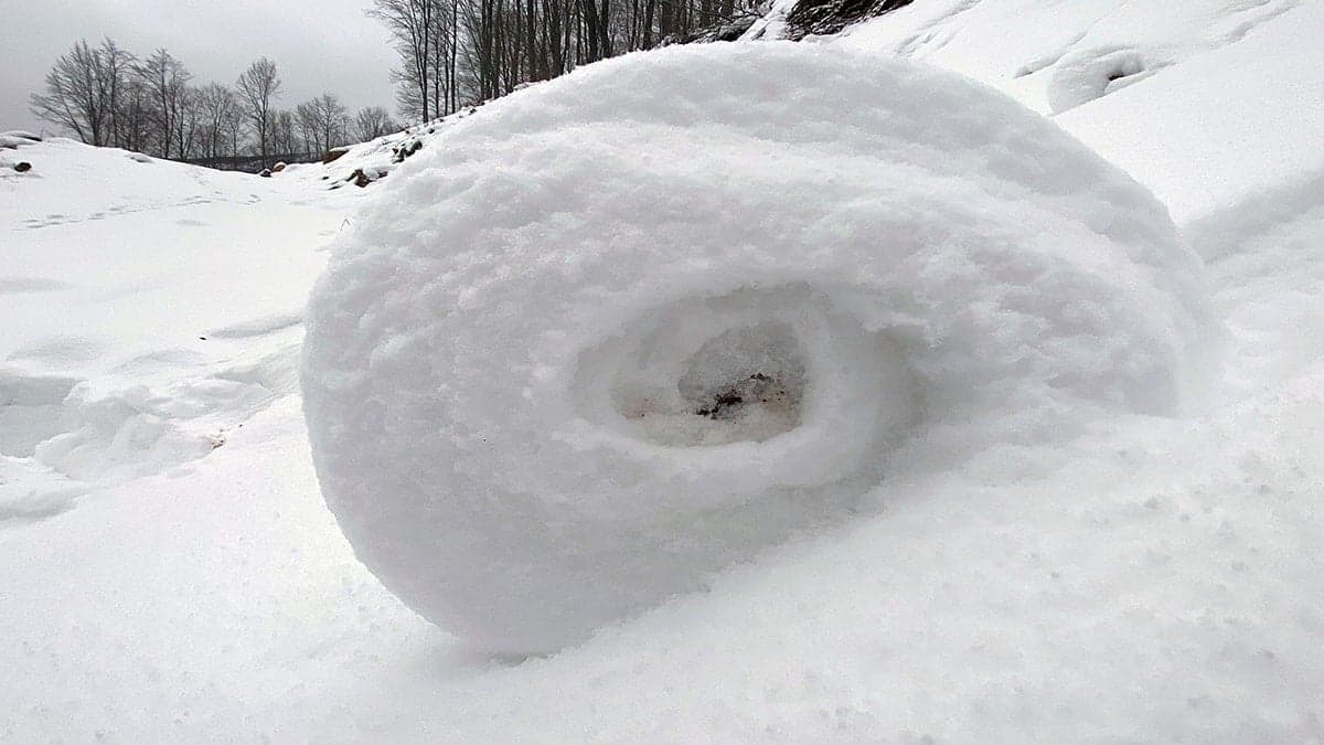 Türkiye'de tekrar rastlandı: Dokunmayın