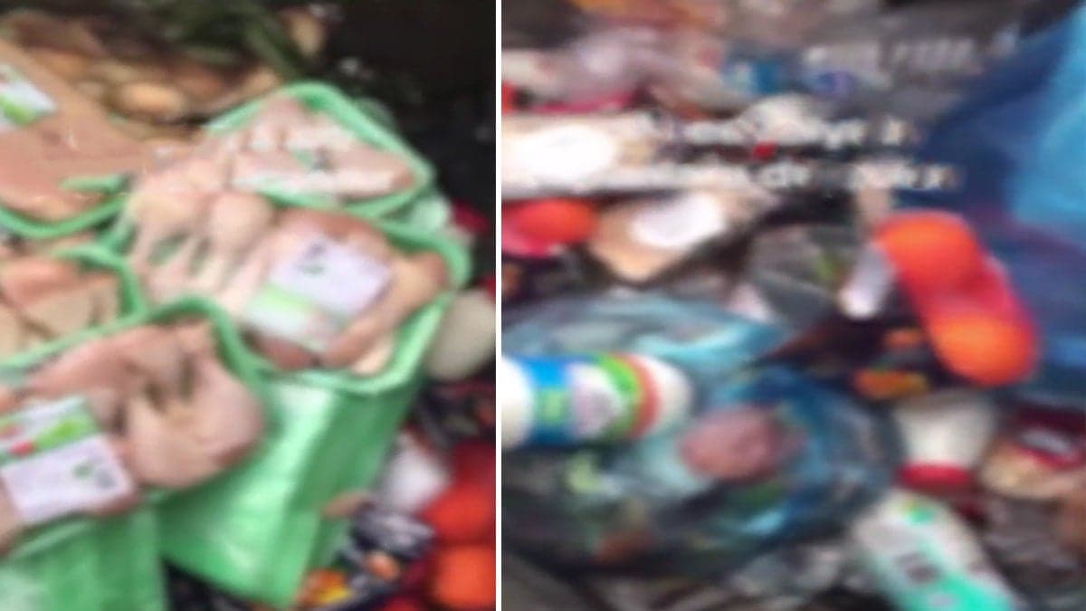 Çöpe bakınca gözlerine inanamadı: Görüntüler Türkiye'den