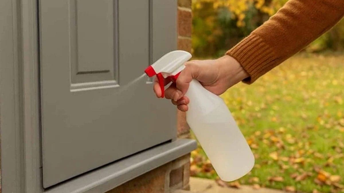 Mart ayı bitmeden evinizin kapısına nane çayı püskürtün çağrısı