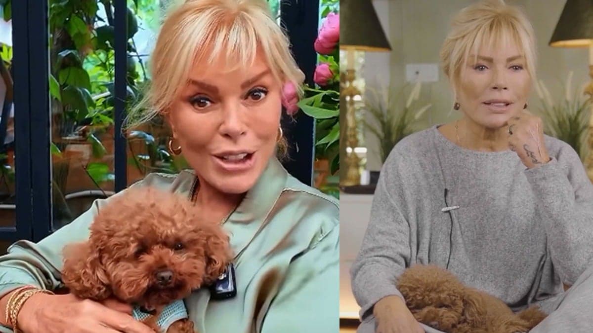 Köpeği AVM’de tuvalet yaptı iddiası: Semiramis Pekkan’dan yanıt