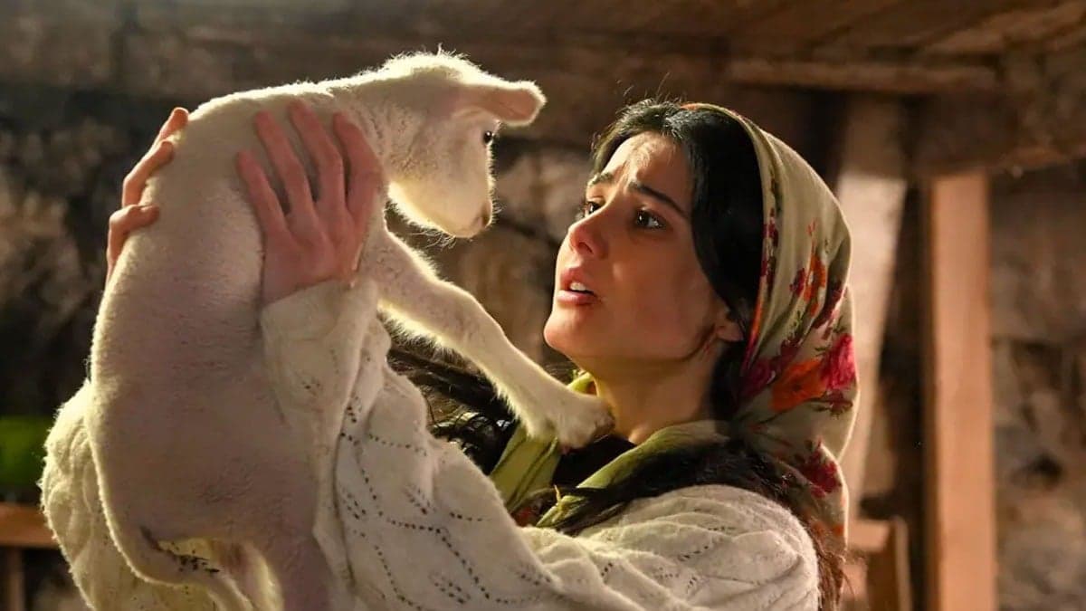 Sevdiğim Sensin'in Dicle'si Helin Kandemir bu kez bambaşka: Maskülen tarzını görenler inanamadı