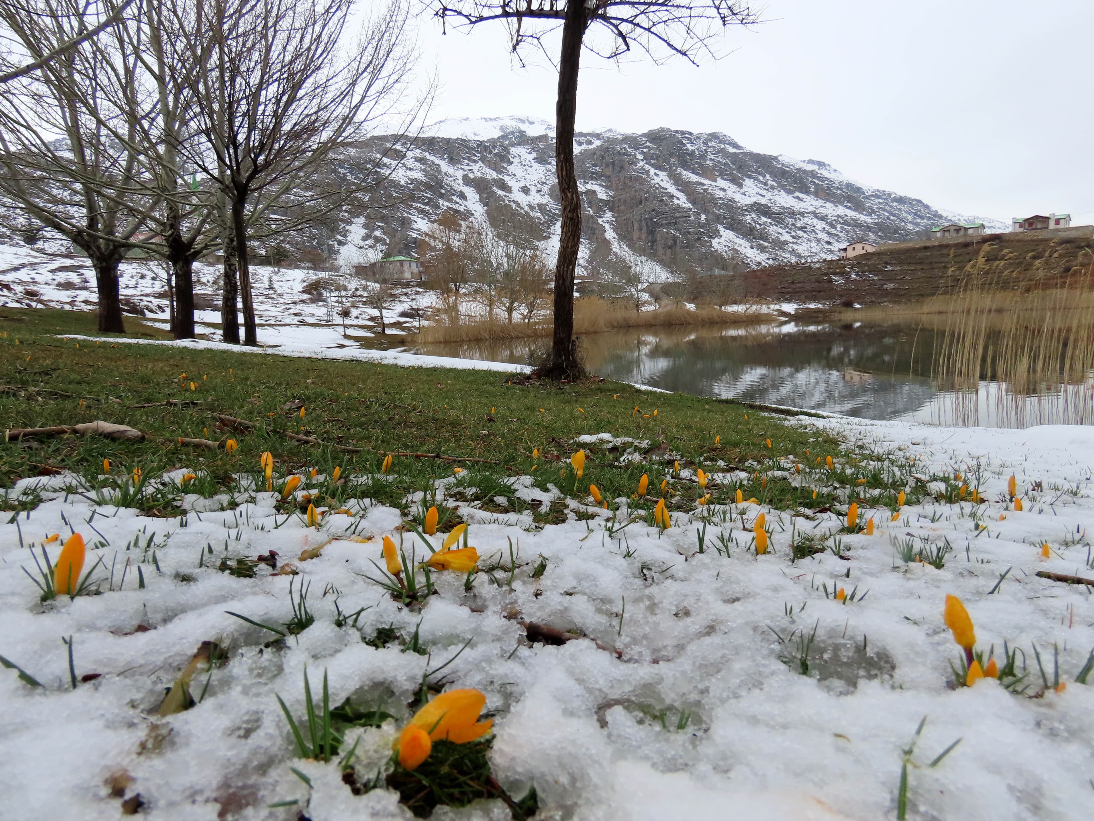 Görmek için sadece 14 gün var: Karlar eriyince ortaya çıktı