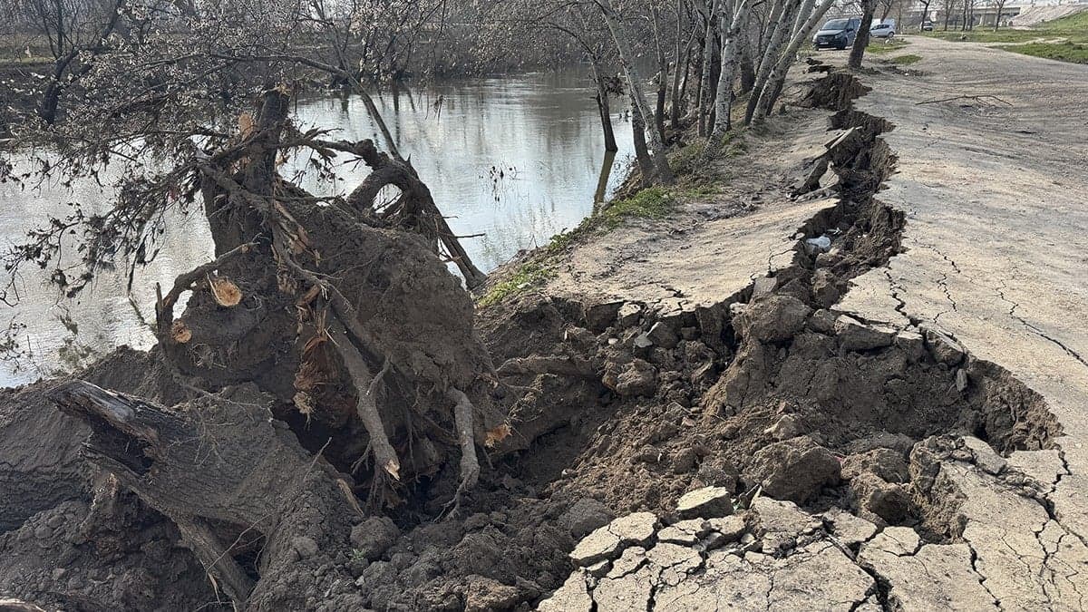 Tunca Nehri kıyısında korkutan görüntü