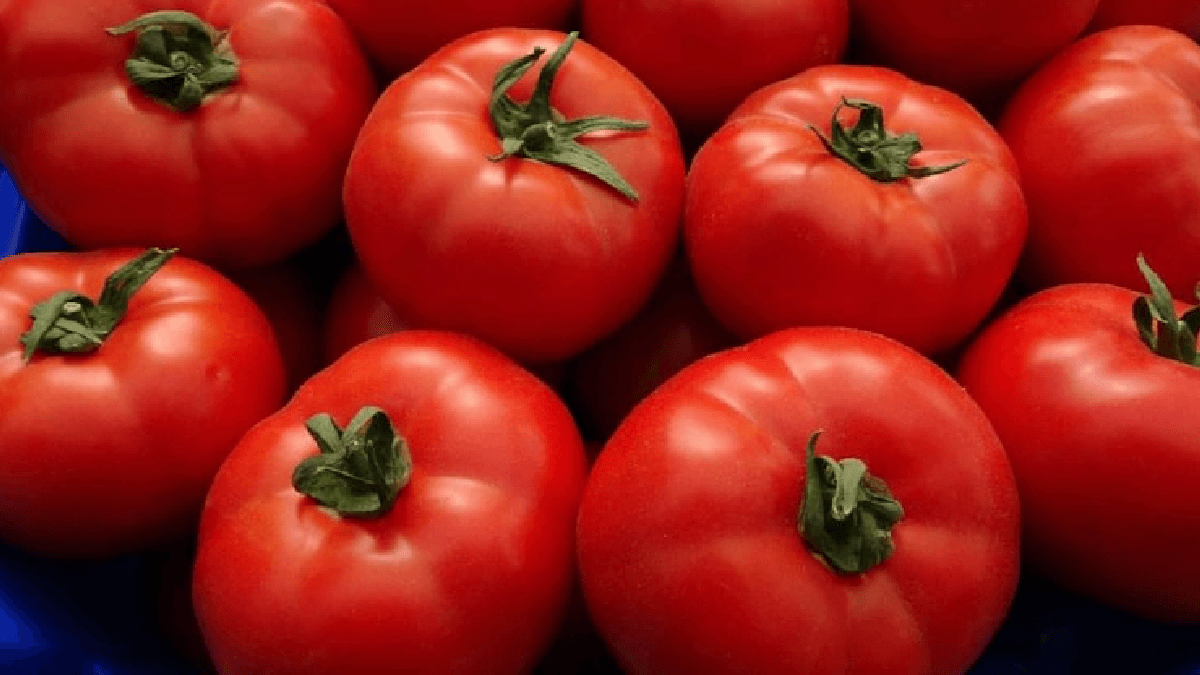 Domatesi sakın böyle tüketmeyin: Zehir saçıyor