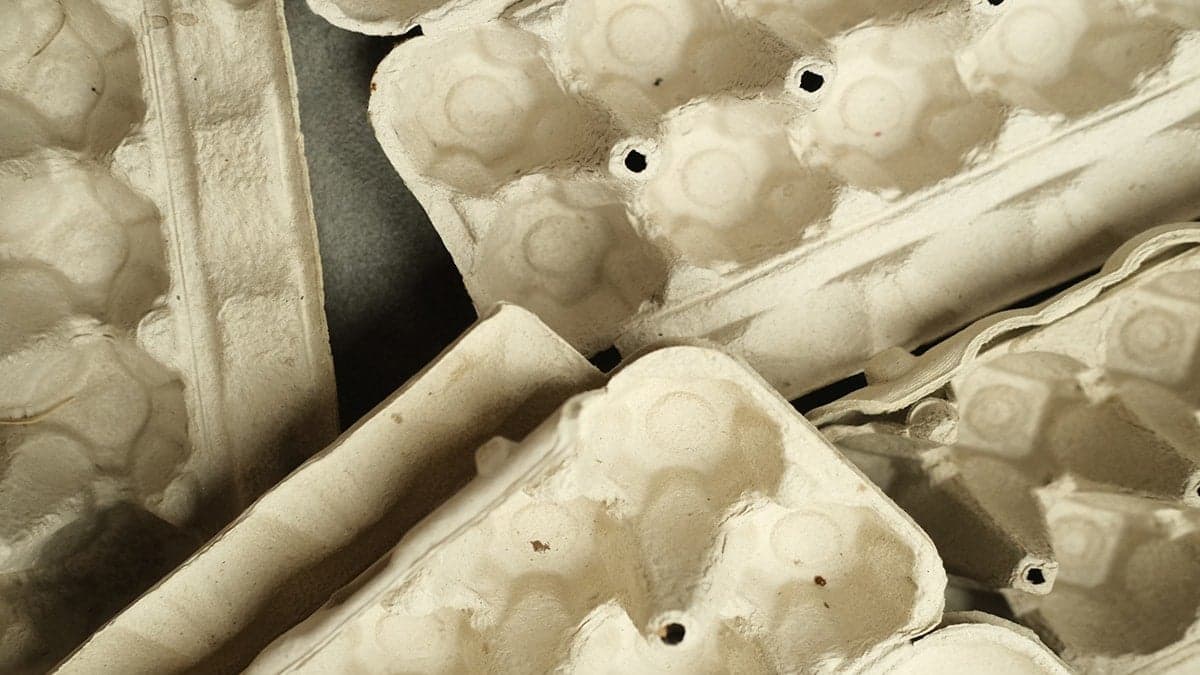 Bahçıvanların yumurta kartonlarını toplamasının altındaki 'zekice' sebep: Çöpe atmayın