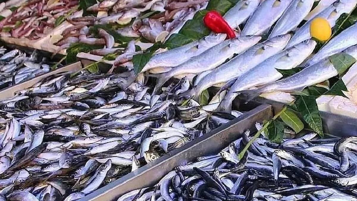 Kilosu 50 TL'ye satılan balık için uyarı geldi: 'Sakın almayın' dedi