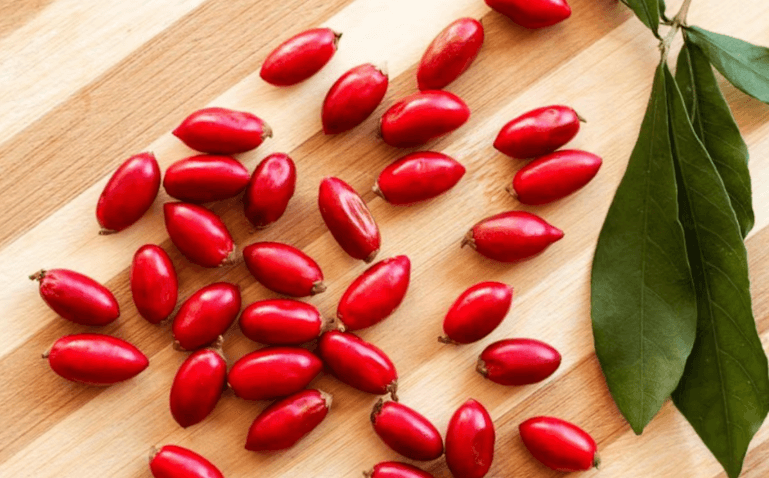 Bu meyveden bir kez ısıran biber de yese bal tadı alıyor