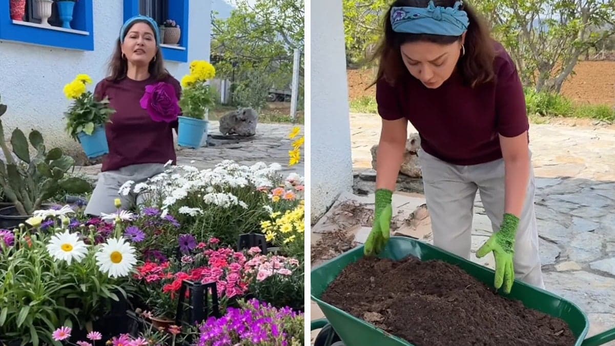 Şehri terk edip Ege’de köye yerleşen Nurgül Yeşilçay toprakla buluştu