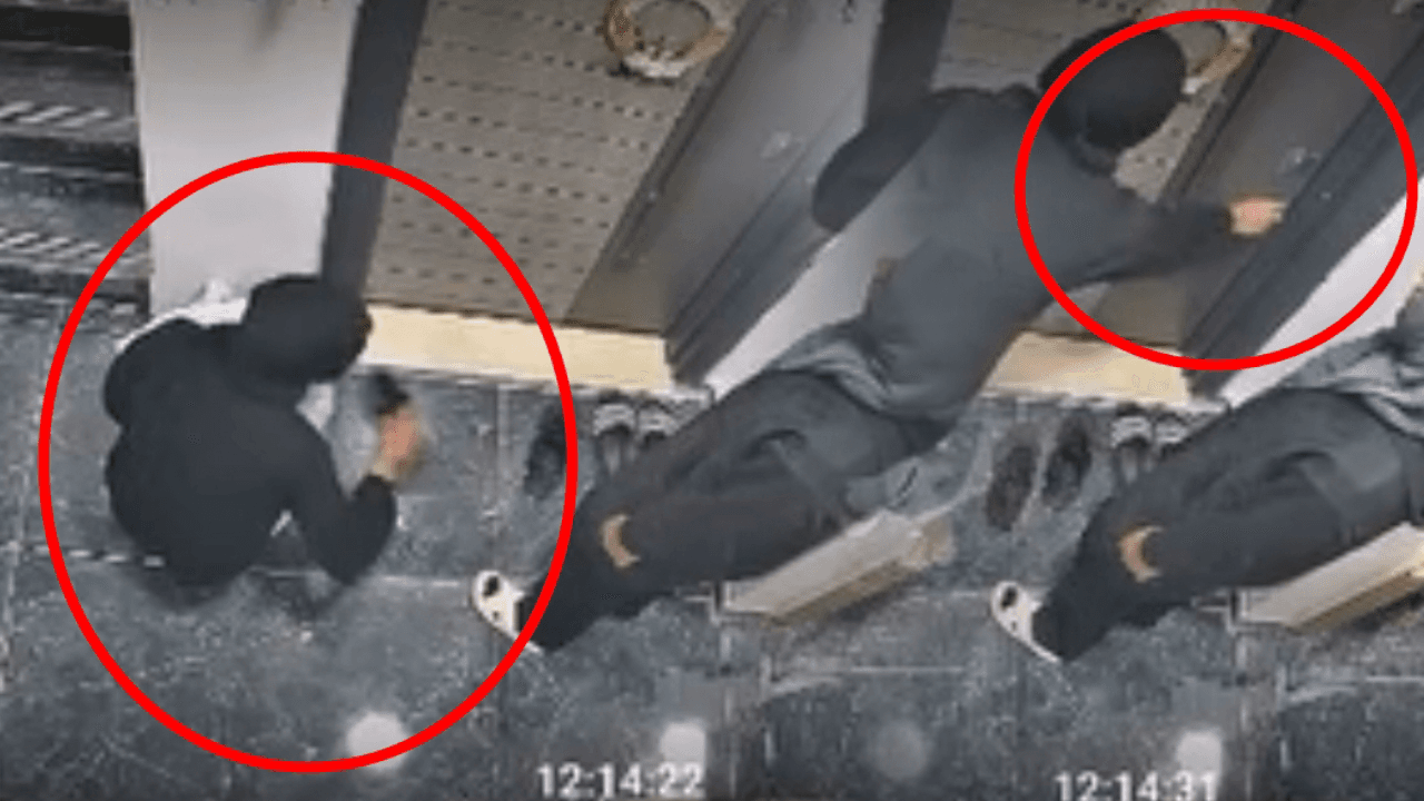 Siirt'te bir garip hırsızlık girişimi: Önce ayakkabıyı kokladı, sonra kapıyı açmaya çalıştı