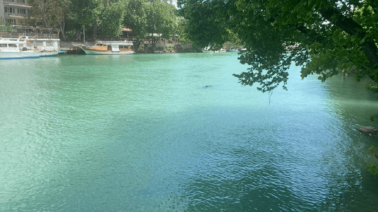 10 gündür kayıp olarak aranan Ali Savaş'tan acı haber