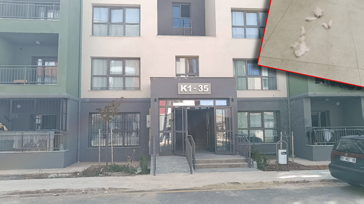 Adıyaman'da kan donduran görüntü: Yavru kediyi paramparça etmişler