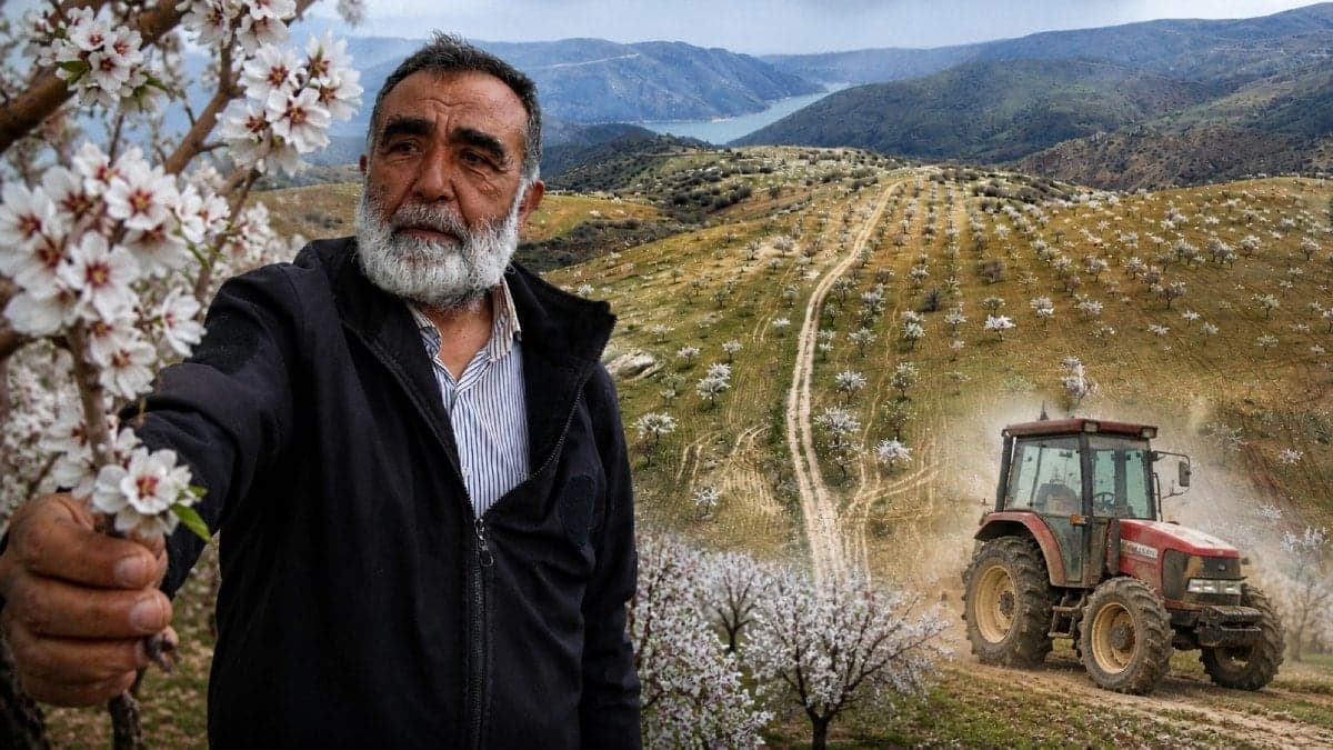 Traktöre bile hiç binmemişti: Emekli doktor 1000 dönüm arazide rekor hasat elde etti