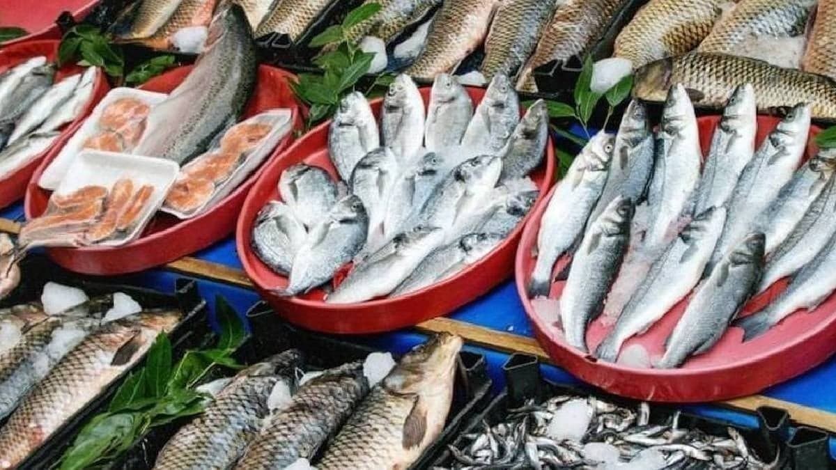 Yaşlıların yememesi gereken balık türü belirlendi