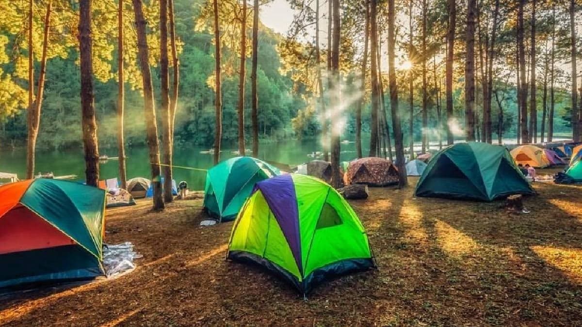 Aydın'da ormanlık alanlarda kamp kurmak yasaklandı
